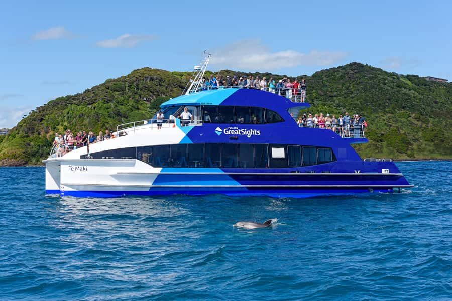 From Paihia: Full-Day Bay of Islands Cruise - Dolphins, whales, and boom-netting when conditions allow