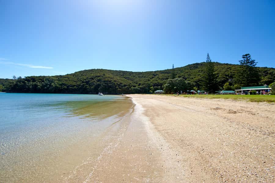 From Paihia: Full-Day Bay of Islands Cruise - Urupukapuka Island stop at Otehei Bay: swim, walk, and lunch choices