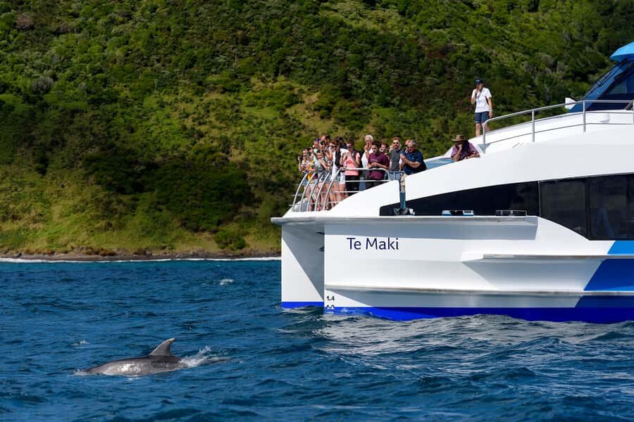 From Paihia: Full-Day Bay of Islands Cruise - Boat comfort and where to stand for views