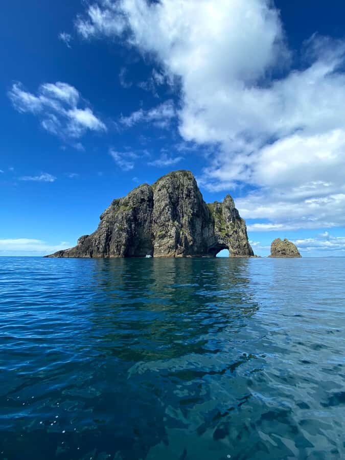 From Paihia: Hole in the Rock Cruise & Island Tour: 3 Hour - Quick hits