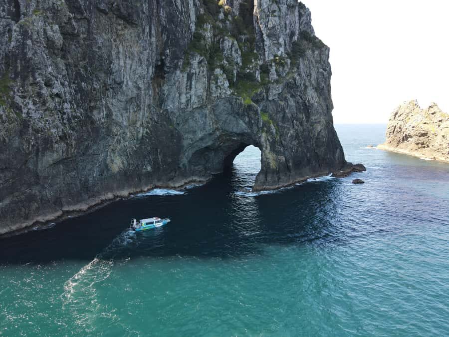 From Paihia: Hole in the Rock Cruise & Island Tour: 3 Hour - Hole in the Rock: the main event from the water