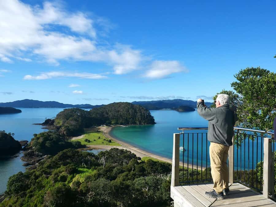From Paihia: Hole in the Rock Cruise & Island Tour: 3 Hour - Wildlife and marine spotting: how to enjoy it without stress