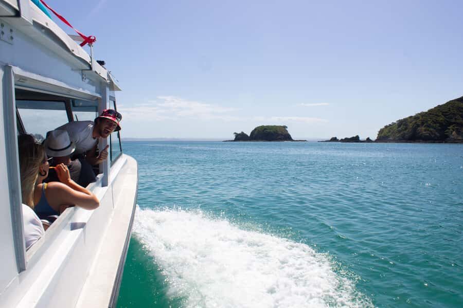 From Paihia: Hole in the Rock Cruise & Island Tour: 3 Hour - Price and value: is $86 fair for 3 hours?