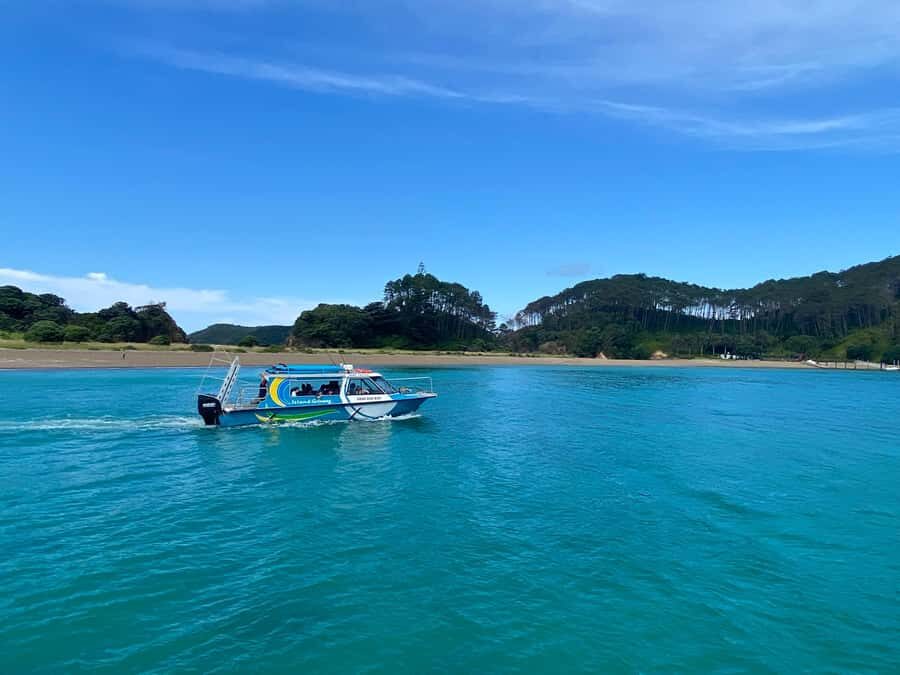 From Paihia: Hole in the Rock Cruise & Island Tour: 3 Hour - Who should book this cruise from Paihia