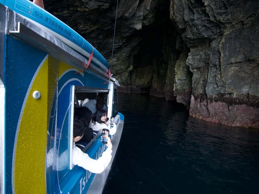 From Paihia: Hole in the Rock Cruise & Island Tour: 3 Hour - Should you book the Hole in the Rock cruise and island tour?