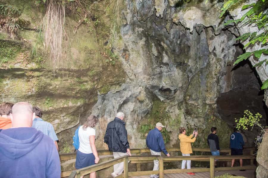 From Paihia: Kawiti Glowworm Caves Guided Tour - Key Things To Know Before You Go