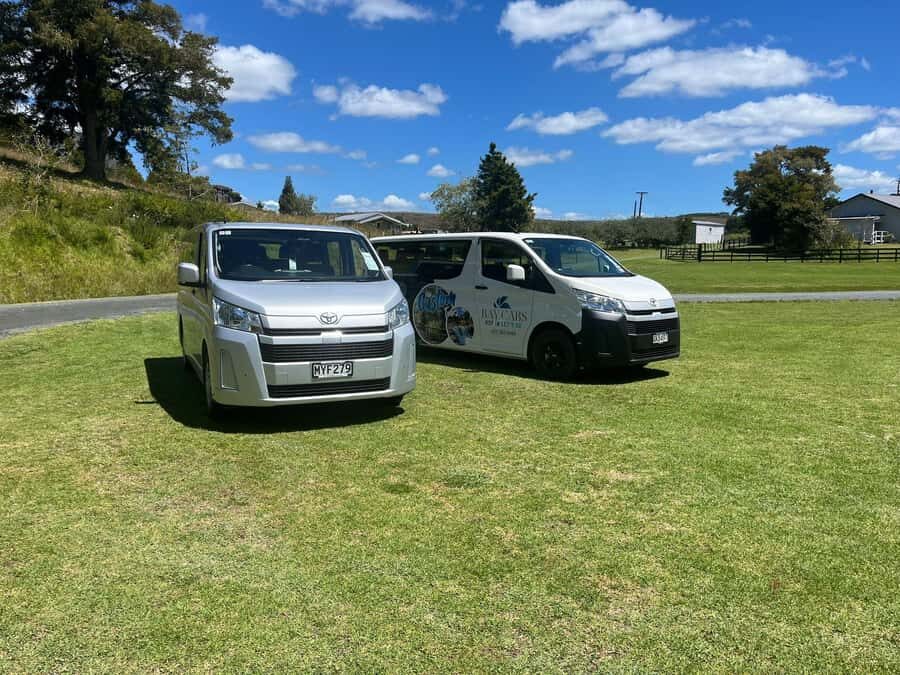 From Paihia: Kawiti Glowworm Caves Guided Tour - First Impressions at the Waitangi Side: How This Tour Starts