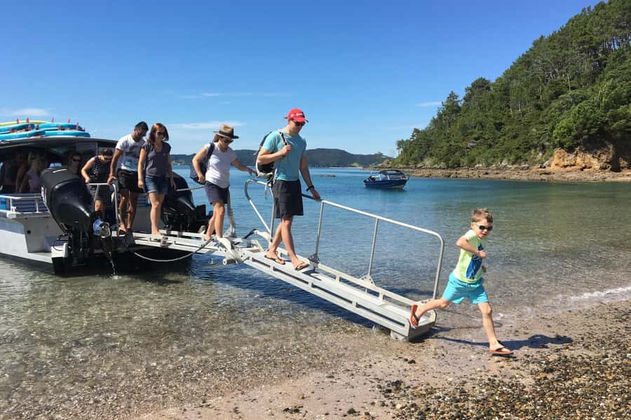 From Paihia: Scenic Cruise with Roberton Island Stopover - Paihia to the Bay’s 144 islands: why this cruise works
