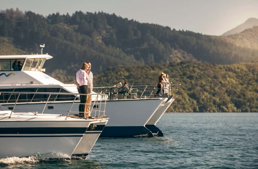 From Picton: Marlborough Sounds Cruise with Seafood - Seafood tasting done right: mussels and Regal salmon on the Sound