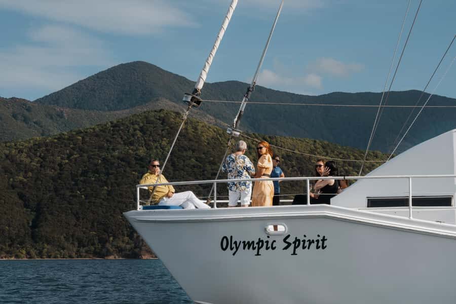 From Picton: Marlborough Sounds Cruise with Seafood - Getting to Picton Marina: the coathanger bridge and where to park