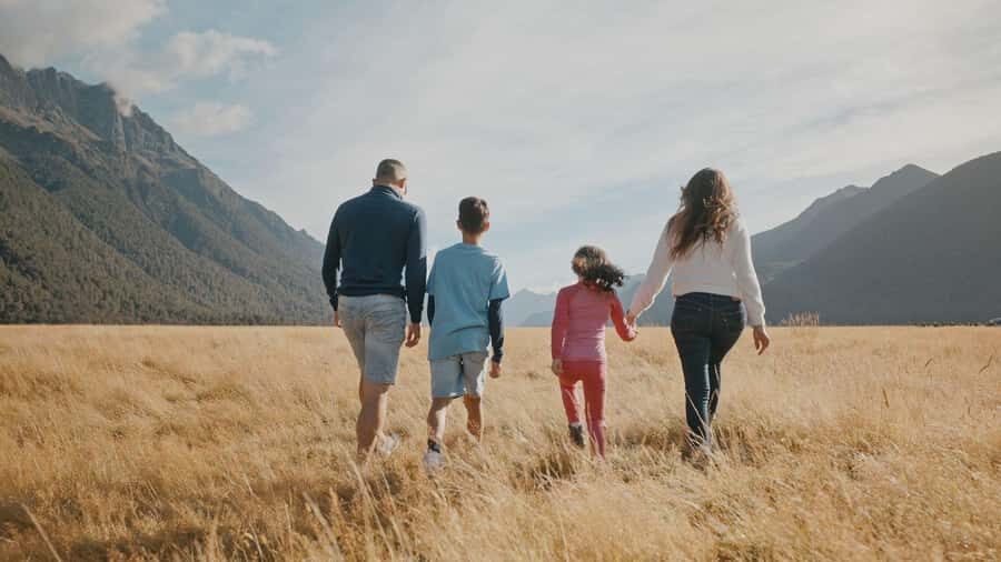 From Queenstown: Coach, Farm Tour & Milford Nature Cruise - Milford Road Scenic Stops: Where to Pause for Photos and Views