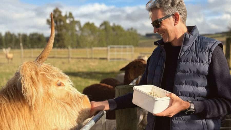 From Queenstown: Coach, Farm Tour & Milford Nature Cruise - Glass-Roof Coach Comfort and the Road Trip Talk You Actually Get