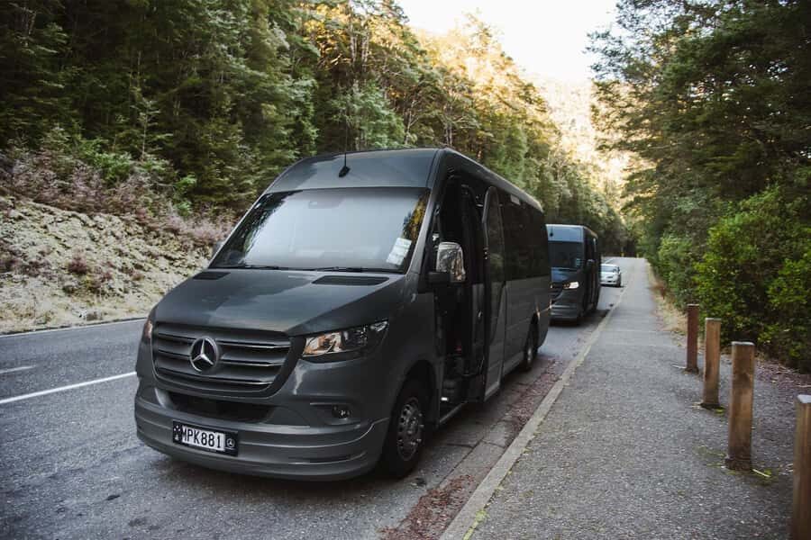 From Queenstown: Milford Sound Business Class with Cruise - Milford Sound Road Scenic Stops: Seeing More Without the Crowd Fight