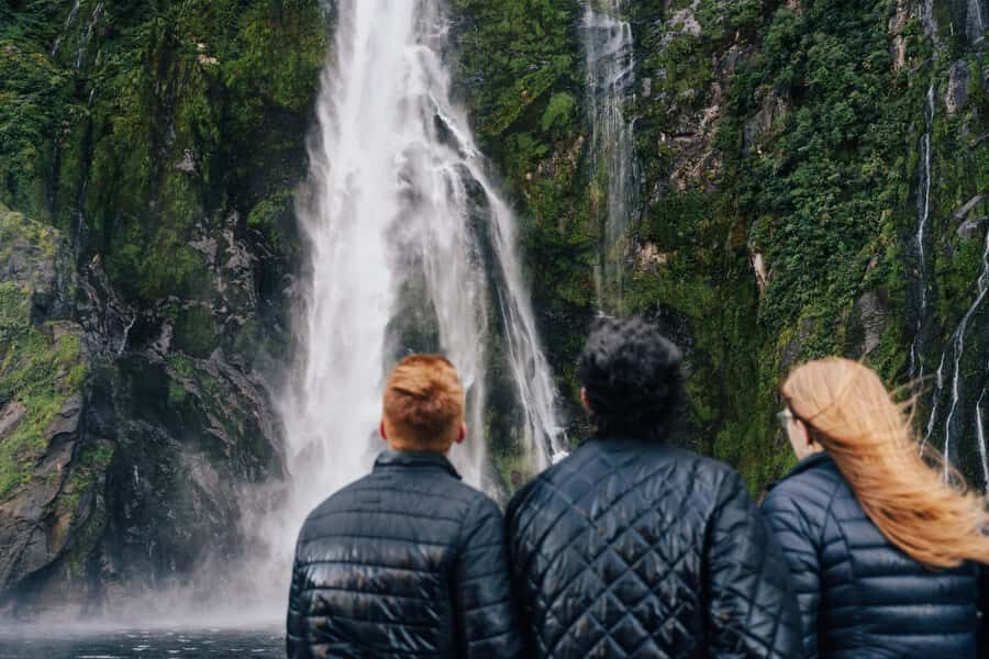 From Queenstown: Milford Sound Cruise and Scenic Drive - Milford Road Scenic Stops: Mirror Lakes, Eglington Valley, and Waterfalls Along the Way