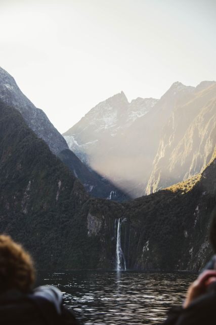 From Queenstown: Milford Sound Cruise and Scenic Drive - What Wildlife Chances Really Look Like (and How to Improve Them)