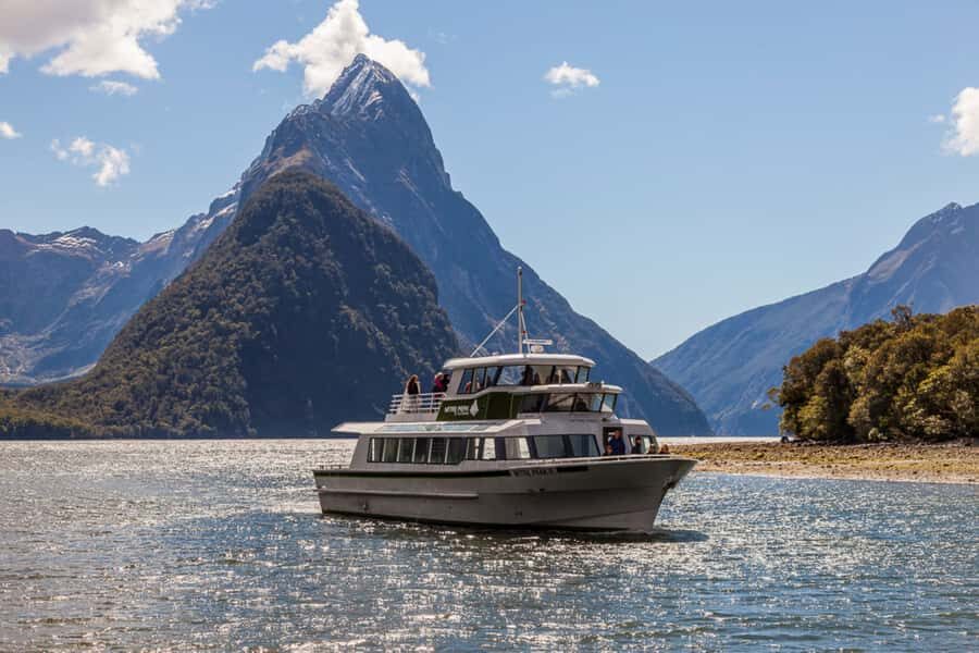 From Queenstown: Milford Sound Cruise and Scenic Drive - Price and Value: Is $232 a Fair Deal?