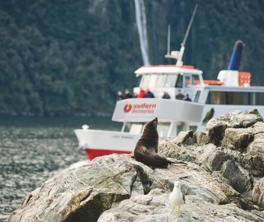 From Queenstown: Milford Sound Discover More Longest Cruise - Queenstown To Fiordland: Glass-Roof Coach Comfort on Milford Road