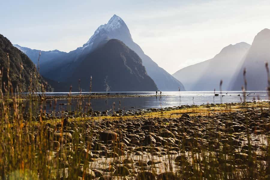 From Queenstown: Milford Sound Scenic Flight & Nature Tour - The Milford Sound swing and interpretive panels