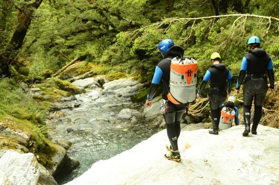 From Queenstown: Mount Aspiring Full-Day Canyoning Adventure - Should you book Mt Aspiring full-day canyoning from Queenstown?