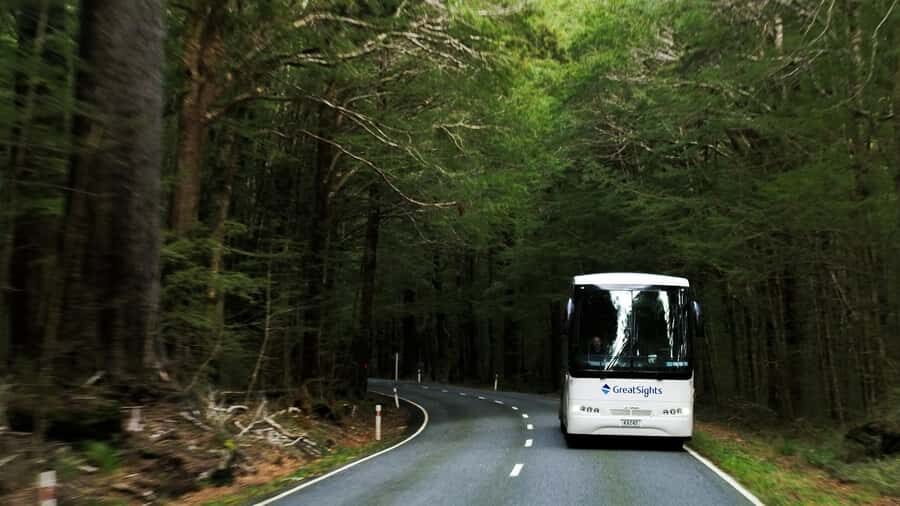 From Queenstown: Scenic One-Way Tour to Franz Josef - Lakes of Dunstan, Wanaka, and Hawea: the easy-to-miss payoff