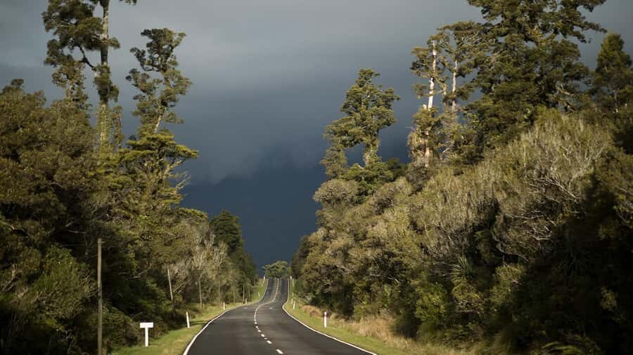 From Queenstown: Scenic One-Way Tour to Franz Josef - What you’ll like most if you’re choosing this tour