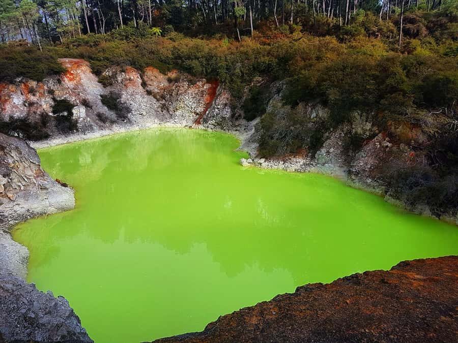 From Rotorua: Wai-O-Tapu, Waimangu and Te Puia Full-Day Tour - Te Puia after lunch: Maori arts and crafts plus Pohutu geyser