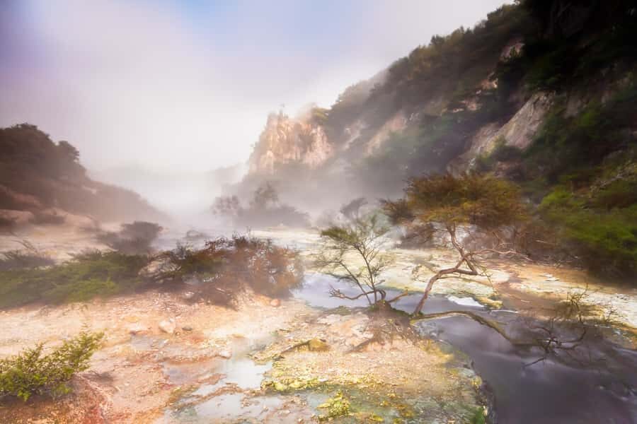 From Rotorua: Wai O Tapu & Waimangu Eco Thermal Morning Tour - Guides Make or Break It: What the Best Reviews Have in Common