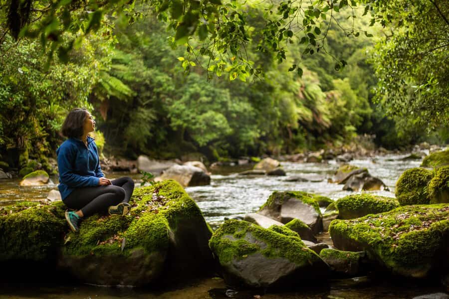 From Rotorua: Whirinaki Rainforest Guided Cultural Tour - Picnic Lunch in the Bush and Kawakawa Tea: Food That Fits the Setting