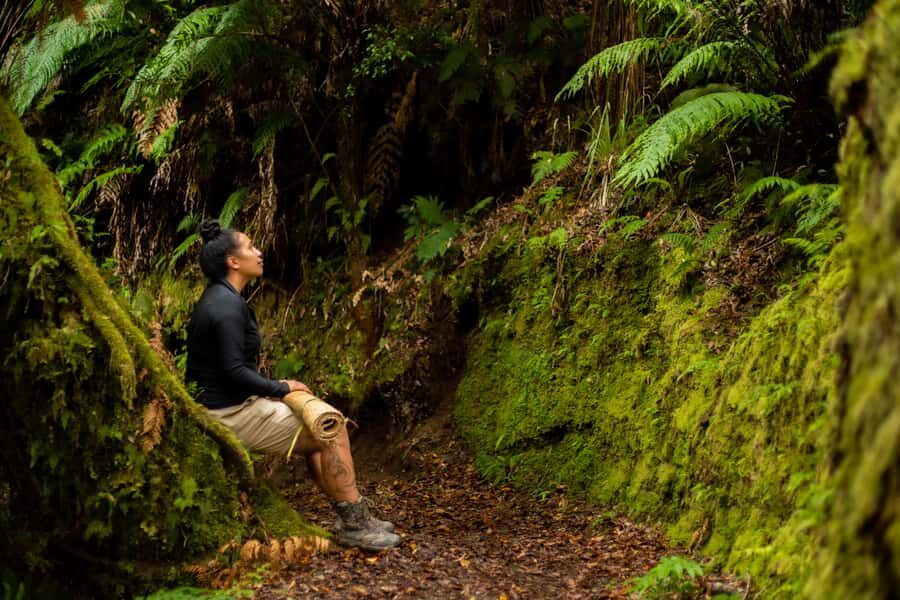 From Rotorua: Whirinaki Rainforest Guided Cultural Tour - Te Ana a Tokowaru: Ancient Rock Carvings You See in Real Caves