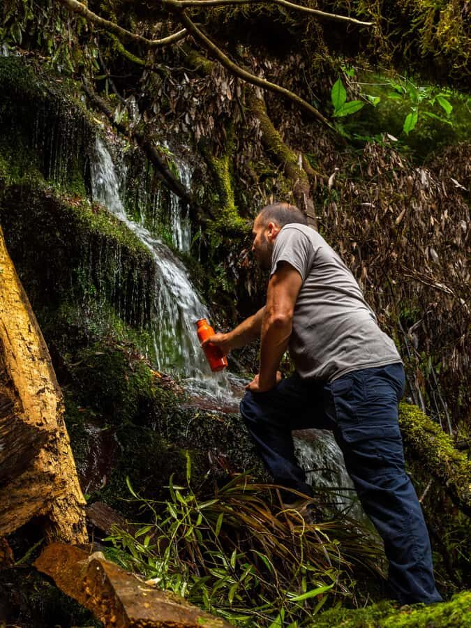 From Rotorua: Whirinaki Rainforest Guided Cultural Tour - Price and Value: What $176 Covers for a 7-Hour Hosted Day