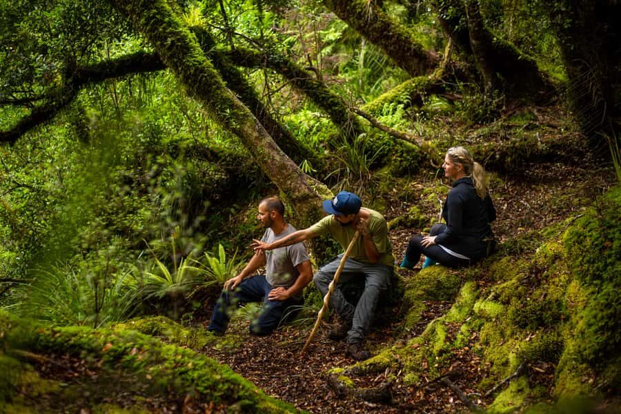 From Rotorua: Whirinaki Rainforest Guided Cultural Tour - Who This Tour Suits Best (and Who Might Reconsider)