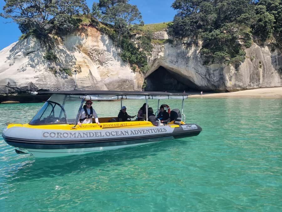 From Tairua: 2 Hour Cathedral Cove Tour with Local Guide - Cathedral Cove Marine Reserve: Clear Water, Wildlife, and Swim Timing