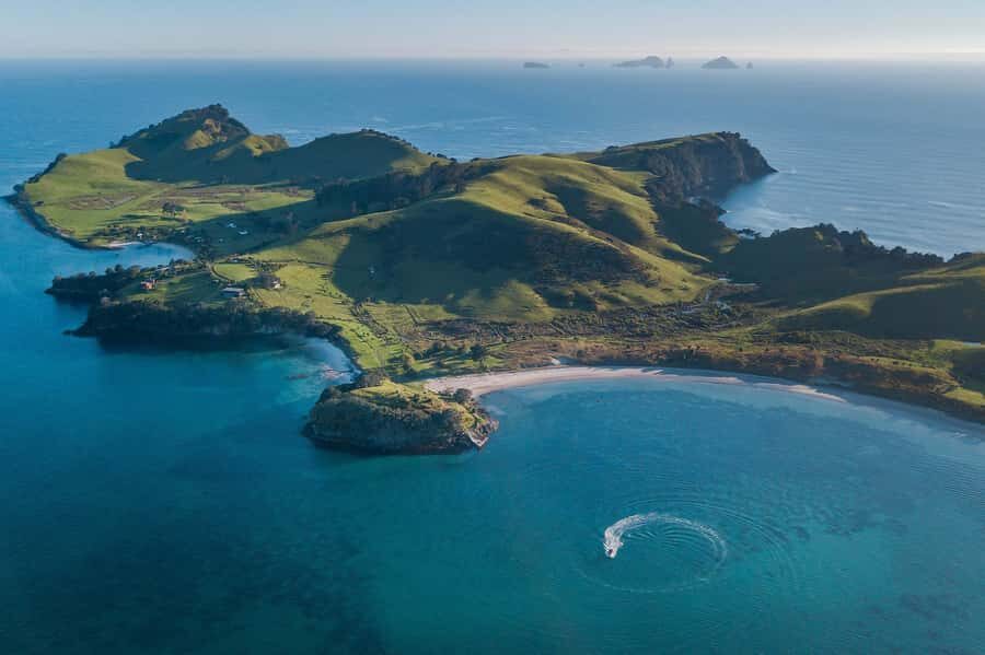 From Tairua: 2 Hour Cathedral Cove Tour with Local Guide - Practical Tips: How to Pack and How to Avoid Day-Of Frustration