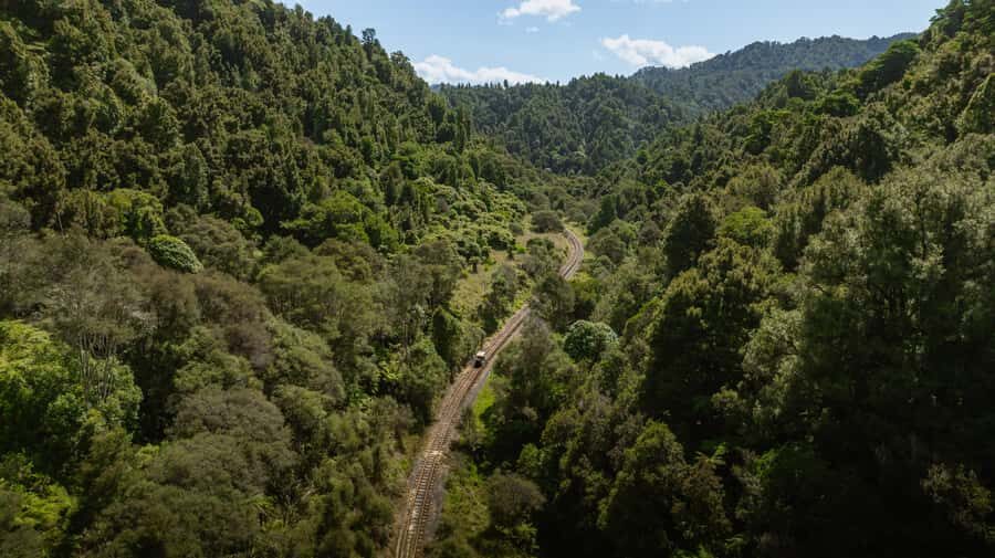 From Taumarunui: The Republic Rail Cart Adventure - The Rail Cart Ride: How It Works and What You Control