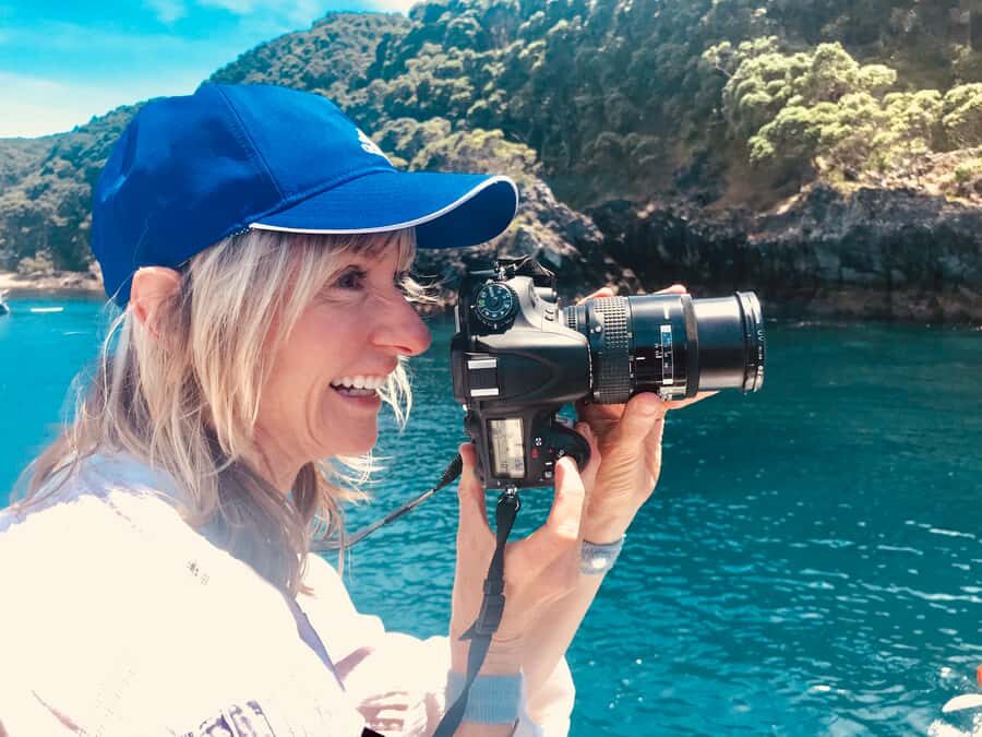 From Tauranga: Dolphin and Wildlife Cruise - Key Highlights You Should Actually Care About