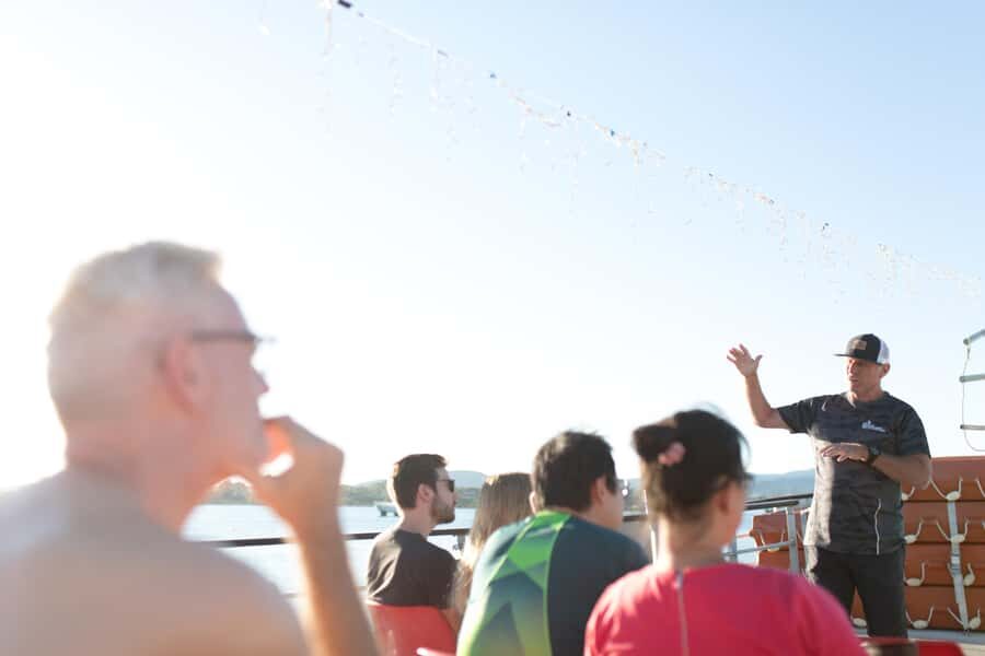 From Tauranga: Dolphin and Wildlife Cruise - When Weather Changes Plans: How Flexible This Cruise Is