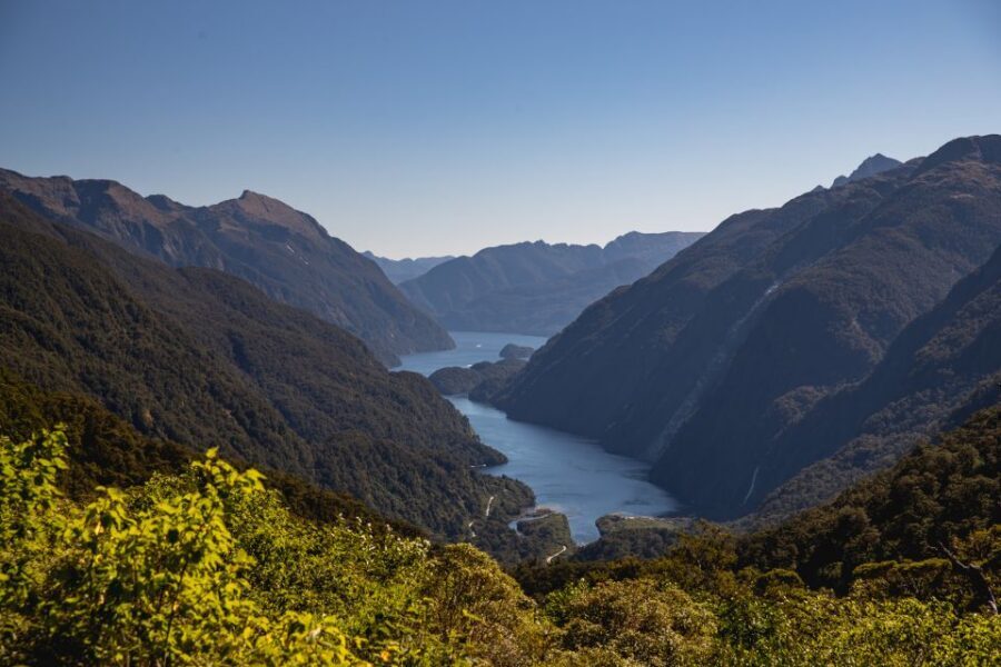 From Te Anau: Doubtful Sound Coach & Cruise - Price and value: what $223 really buys you