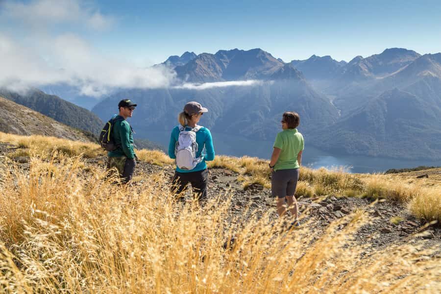 From Te Anau: Full Day Kepler Track Guided Heli-Hike - Price and value: what you’re really paying for at $457