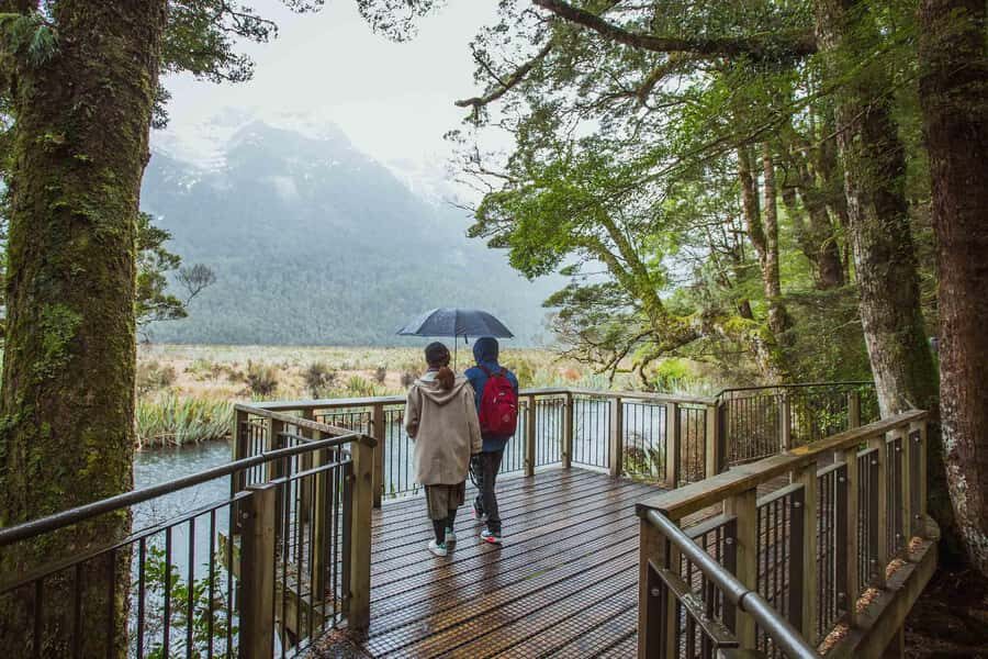 From Te Anau: Milford Sound Coach Tour and Cruise - Milford Sound catamaran cruise: how the scenery changes on water