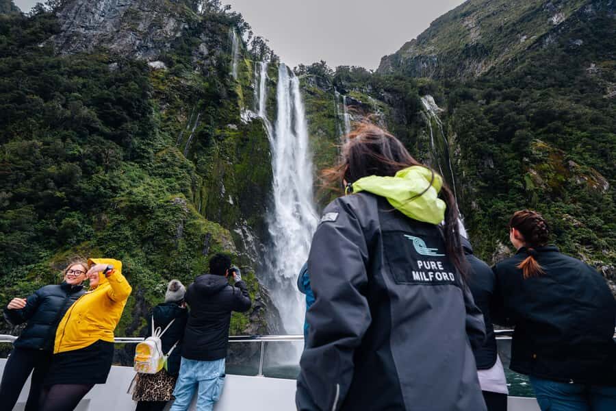 From Te Anau: Milford Sound Coach Tour and Cruise - Wildlife spotting odds: what you can reasonably hope to see