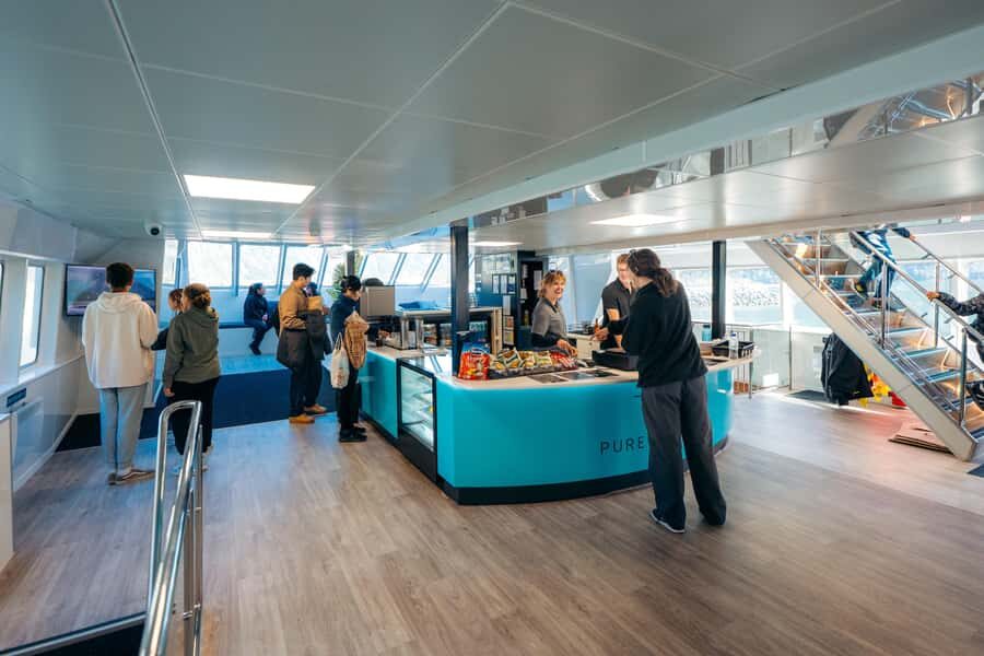 From Te Anau: Milford Sound Coach Tour and Cruise - Picnic lunch on board: what you get and how it fits the schedule