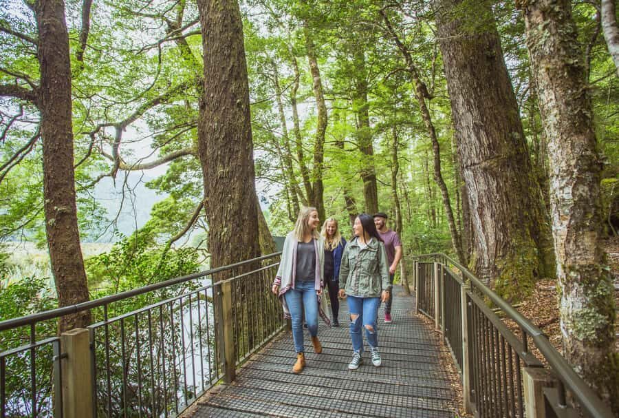 From Te Anau: Milford Sound Coach Tour and Cruise - What to pack and how to stay comfortable in Milford Sound weather