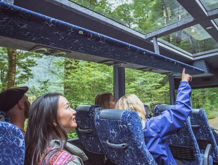 From Te Anau: Milford Sound Coach Tour and Cruise - The Fiordland National Park drive: photo stops, short walks, and real context