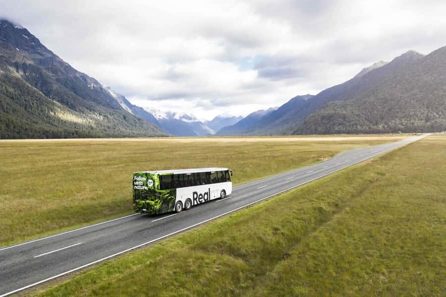 From Te Anau: Milford Sound Cruise and Coach Day Trip - Eglinton Valley, Mirror Lakes, and Monkey Creek: quick stops with real character