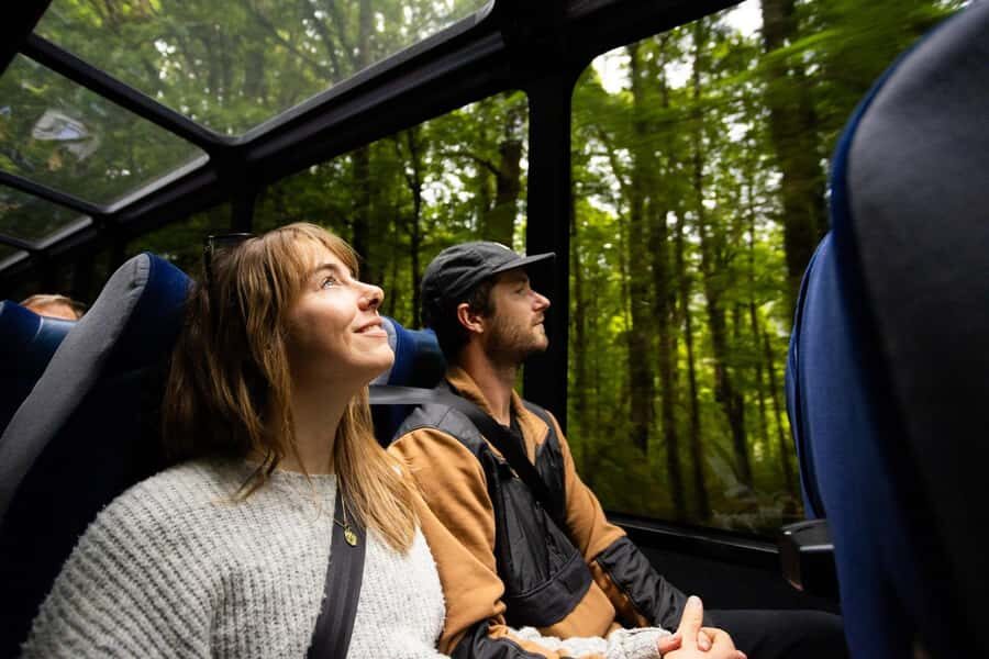 From Te Anau: Milford Sound Cruise and Coach Day Trip - Who should book this, and who might prefer a different plan