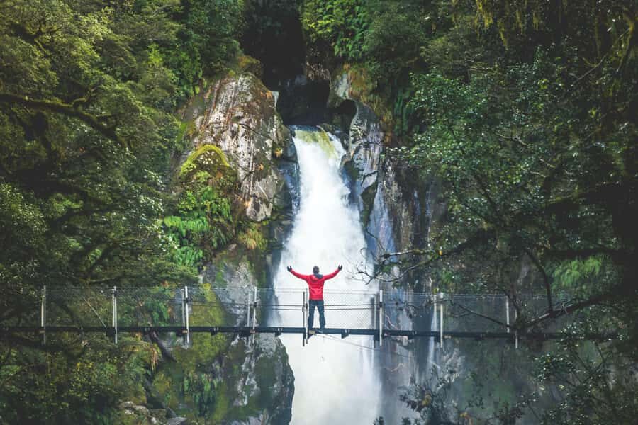 From Te Anau: Milford Sound Cruise & Track Walk by Coach - Key Points at a Glance