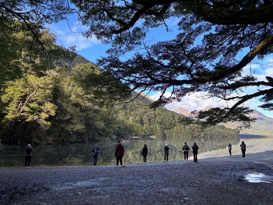 From Te Anau: Milford Sound Small-Group Tour Including Lunch - Who this Milford Sound small-group tour fits best