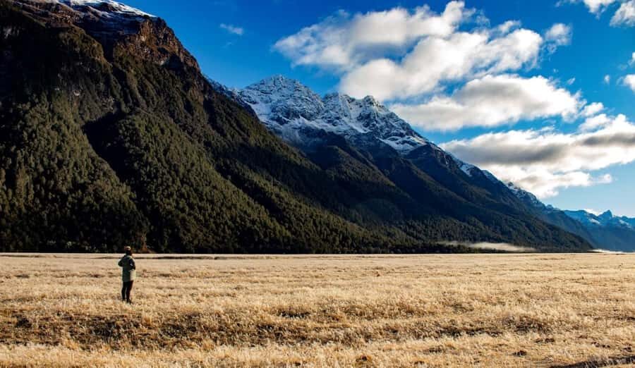From Te Anau: Milford Sound Small-Group Tour Including Lunch - Milford Sound cruise with Mitre Peak: the main event on the water
