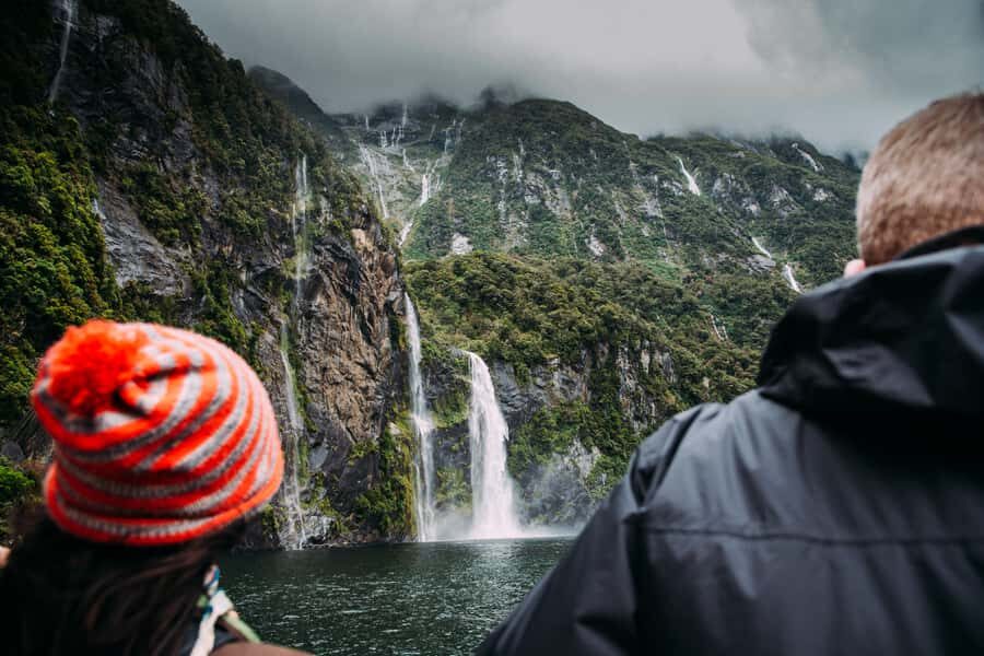 From Te Anau: Milford Sound Small-Group Tour Including Lunch - The Chasm bush walk and the return stops to Te Anau