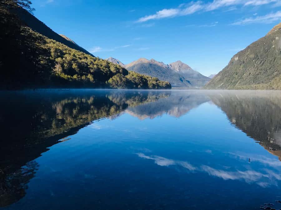 From Te Anau: Milford Sound Small-Group Tour Including Lunch - Lunch, snacks, and what to pack for Fiordland weather